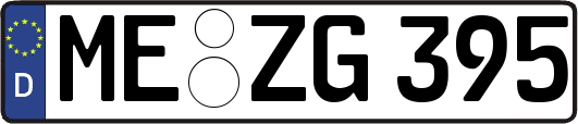 ME-ZG395