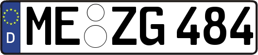 ME-ZG484