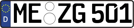 ME-ZG501