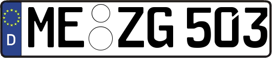 ME-ZG503