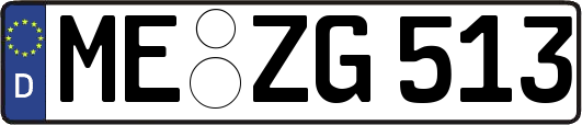 ME-ZG513