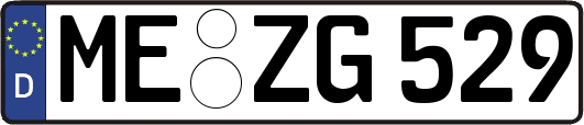 ME-ZG529