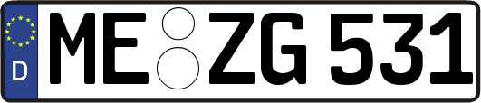 ME-ZG531