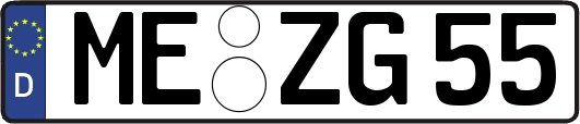 ME-ZG55