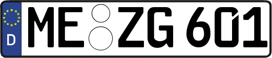 ME-ZG601