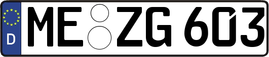 ME-ZG603