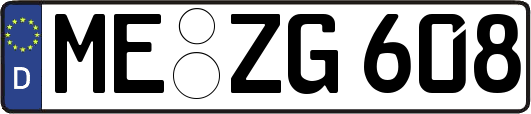 ME-ZG608