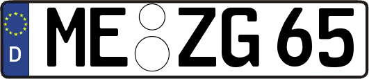 ME-ZG65