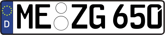 ME-ZG650