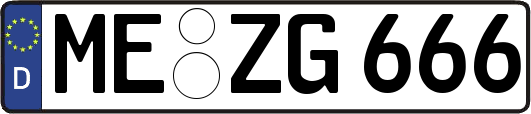 ME-ZG666