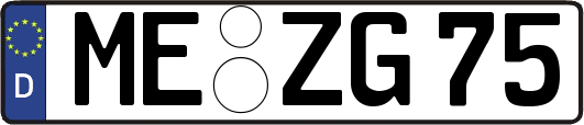ME-ZG75