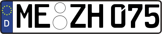 ME-ZH075