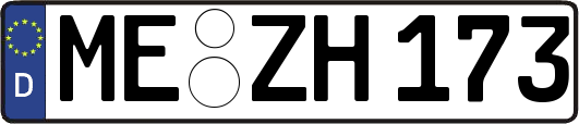 ME-ZH173