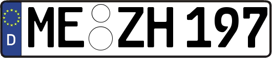 ME-ZH197
