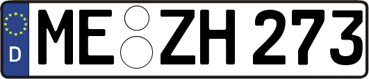 ME-ZH273