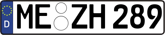 ME-ZH289