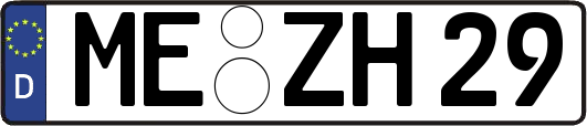 ME-ZH29