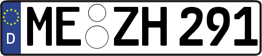 ME-ZH291