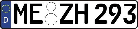 ME-ZH293