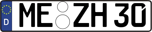 ME-ZH30