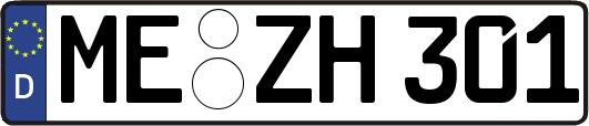 ME-ZH301