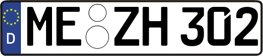 ME-ZH302