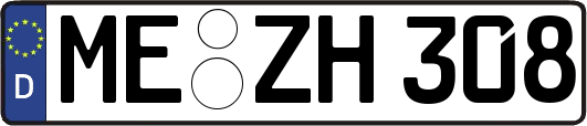 ME-ZH308