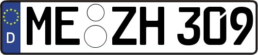 ME-ZH309