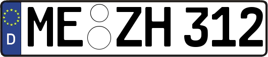 ME-ZH312