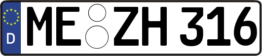 ME-ZH316
