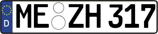 ME-ZH317