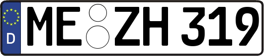 ME-ZH319