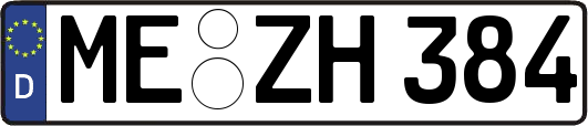 ME-ZH384