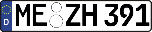 ME-ZH391