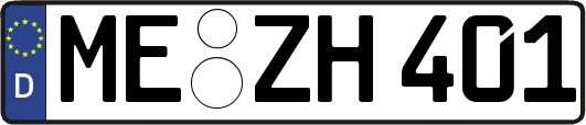 ME-ZH401
