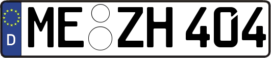 ME-ZH404