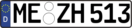 ME-ZH513