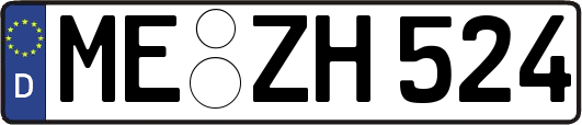ME-ZH524