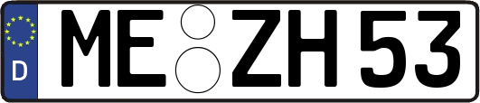 ME-ZH53