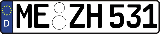 ME-ZH531
