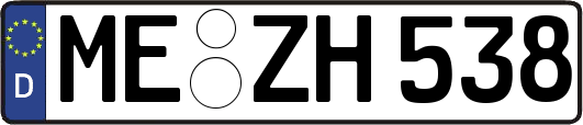 ME-ZH538
