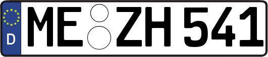 ME-ZH541