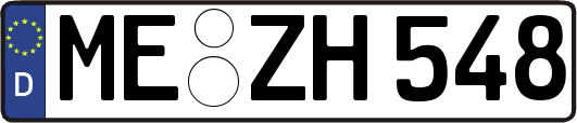 ME-ZH548