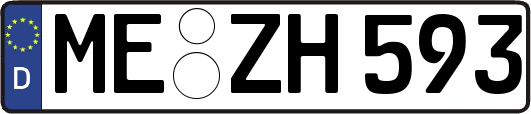 ME-ZH593