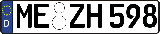 ME-ZH598