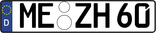 ME-ZH60