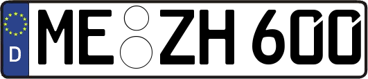 ME-ZH600