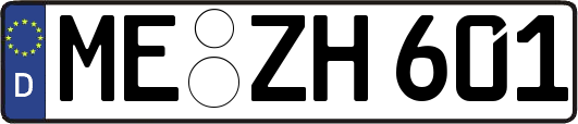 ME-ZH601