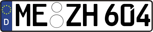 ME-ZH604