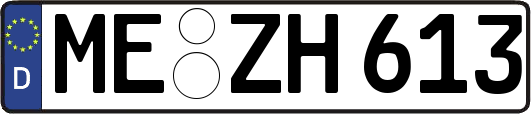 ME-ZH613